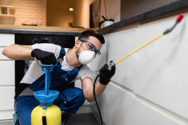 Best Pest Prevention Services  in Plymouth, WI