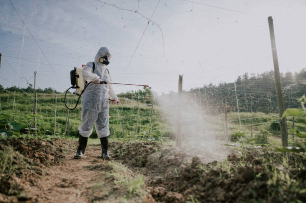 Best Local Pest Control Services  in Plymouth, WI
