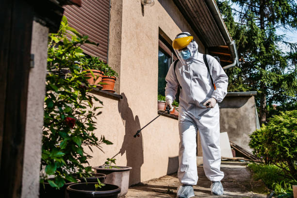 Flea Control Services in Plymouth, WI
