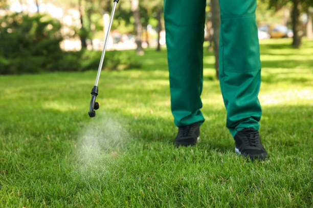 Wasp Removal Services in Plymouth, WI