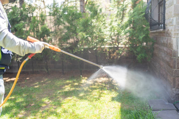 Best Emergency Pest Control  in Plymouth, WI
