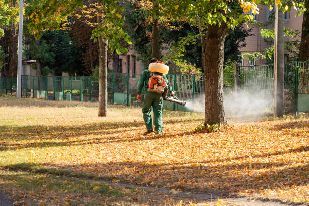 Best Exterminator Services  in Plymouth, WI