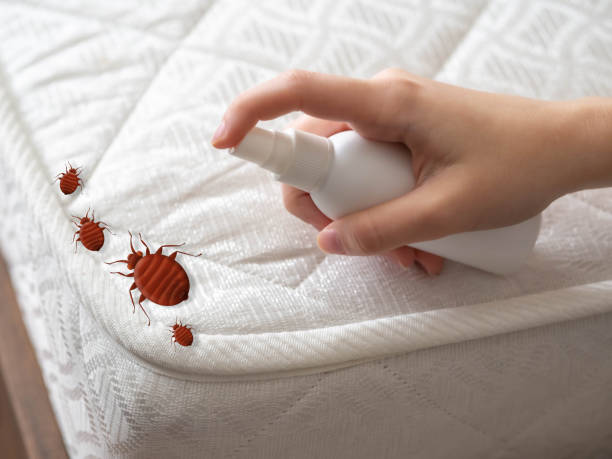 Best Residential Pest Control  in Plymouth, WI