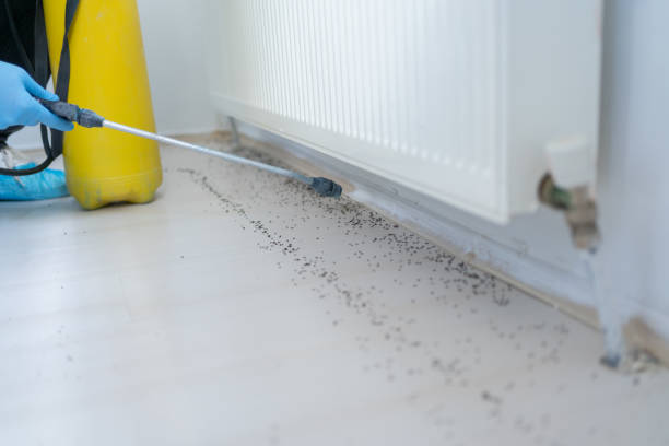 Best Spider Control Near Me  in Plymouth, WI